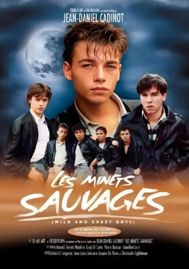 《流浪爱侣》：在漂泊中寻找真爱，一场触动灵魂的爱情冒险，年度催泪佳作！